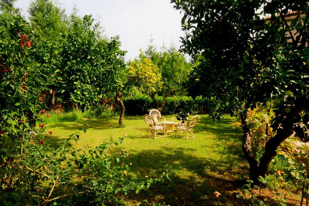 Residenza La Vigna Aparthotel Parghelia Kültér fotó