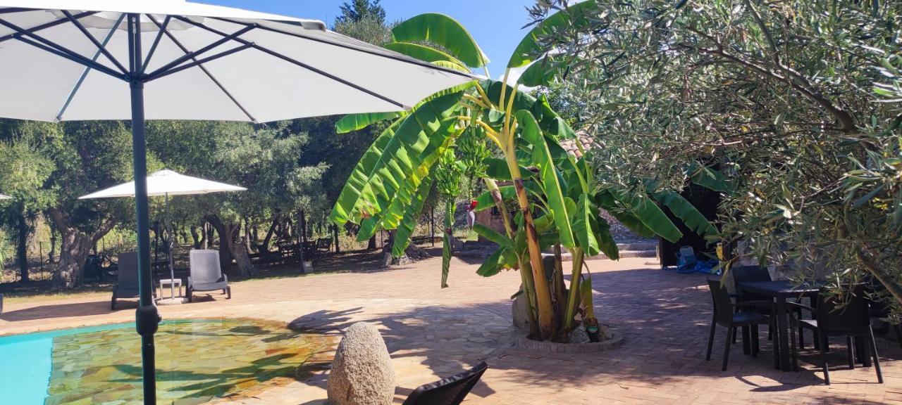 Residenza La Vigna Aparthotel Parghelia Kültér fotó